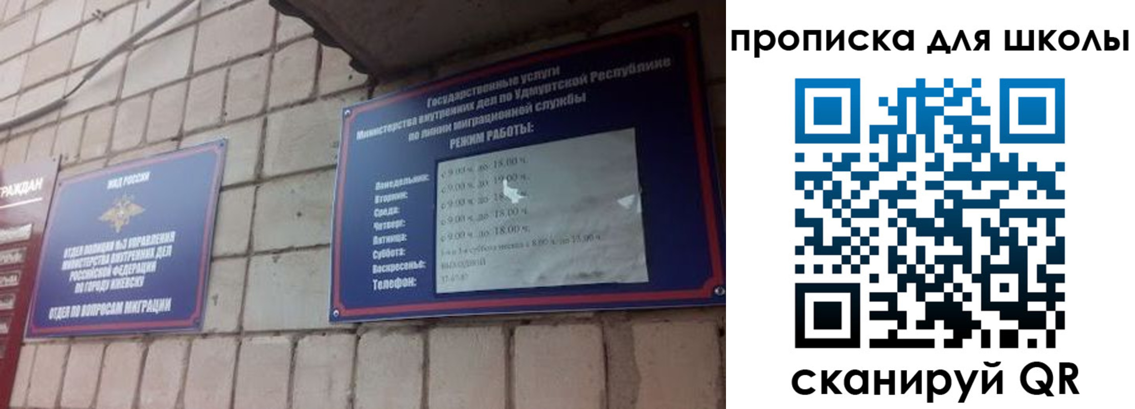прописка гарантия в Хабаровске